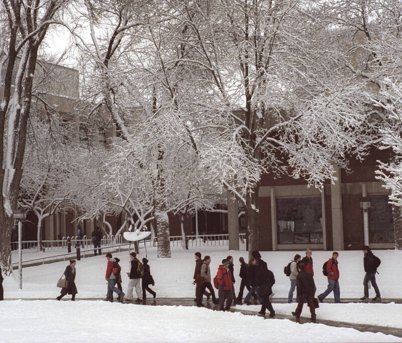 Students walking on campus under snow-covered trees 2002/2003